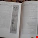 استاتیک